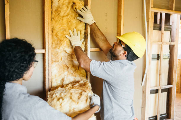 Types of Insulation We Offer in Choccolocco, AL